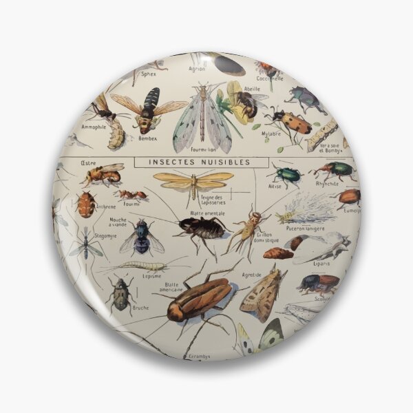 Item preview, Adolphe Millot insectes designed and sold by wetdryvac.