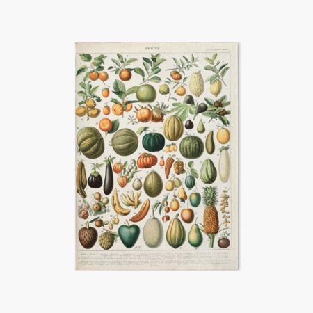 Item preview, Adolphe Millot fruits B designed and sold by wetdryvac.