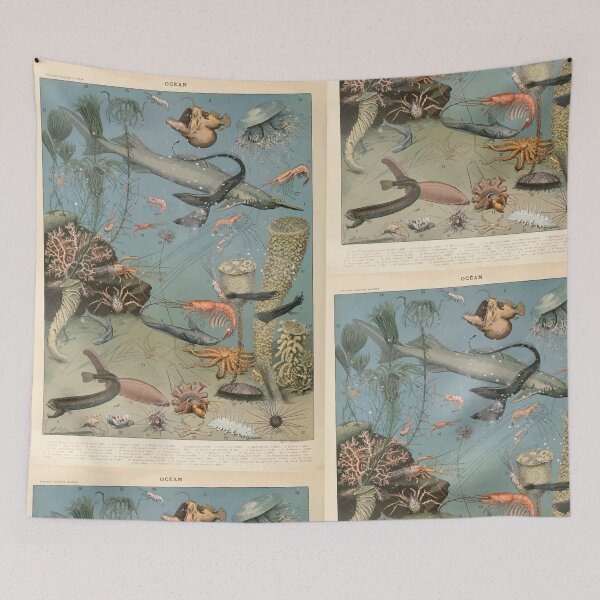 Item preview, Adolphe Millot ocean A designed and sold by wetdryvac.