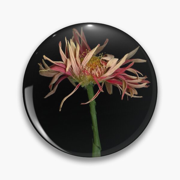 Item preview, Conversation Daisies Dark Floral designed and sold by LindasPhotoArt.