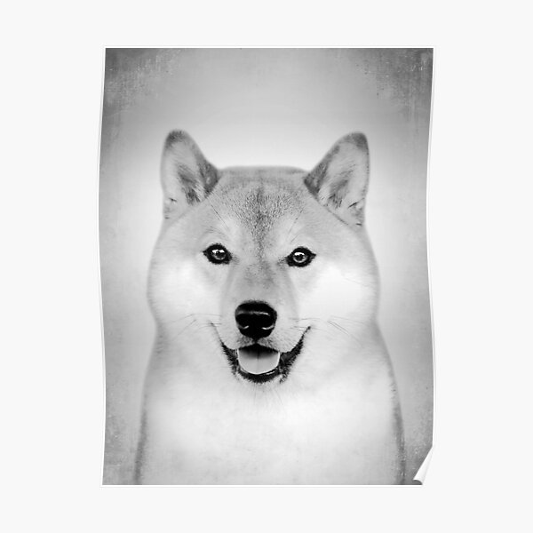 Baby Akita Inu Poster By Autrouvetout Redbubble