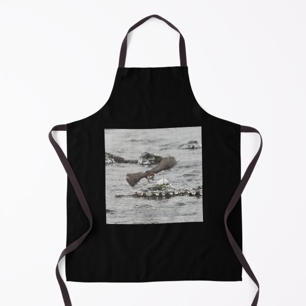 Item preview, On the fly and leaving the pearls. White-throated dipper designed and sold by Jouko Lehto Photography.
