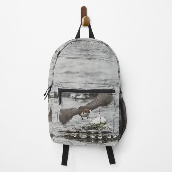 Item preview, On the fly and leaving the pearls. White-throated dipper designed and sold by Jouko Lehto Photography.