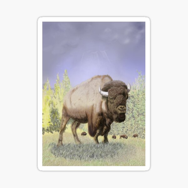 Bison on the Range Sticker