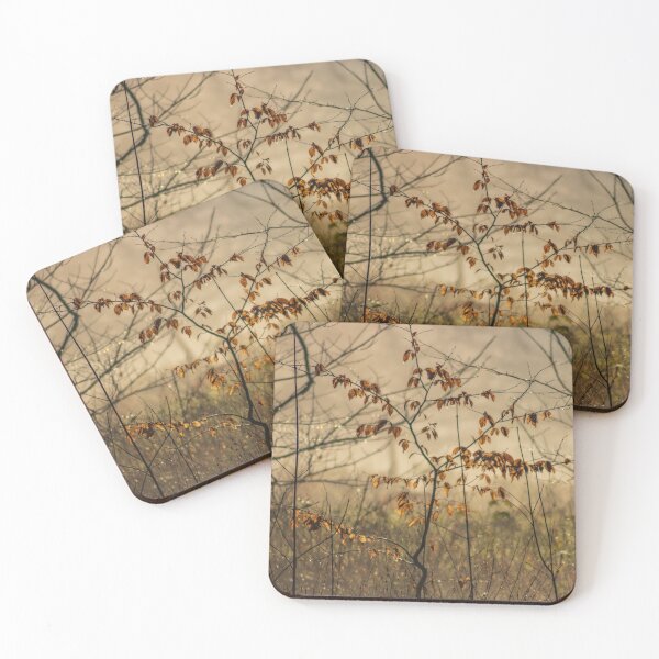 Item preview, Last of the leaves designed and sold by Paul Madden.