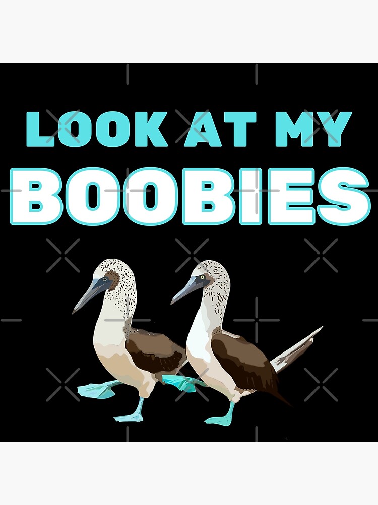 All kinds of Boobies, birds Poster for Sale by KyaKnightDesign