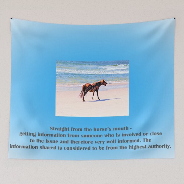 Item preview, Straight From the Horse's Mouth designed and sold by DianeLindonCoy.