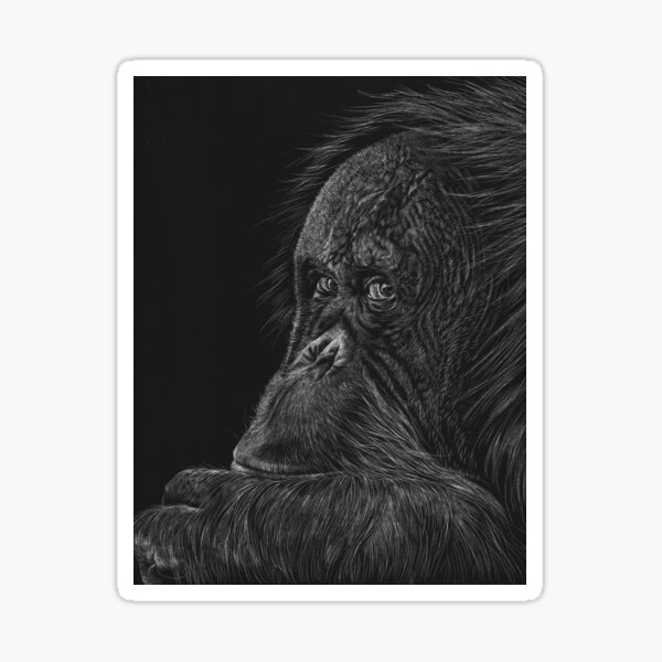 Melati the Orangutan Sticker