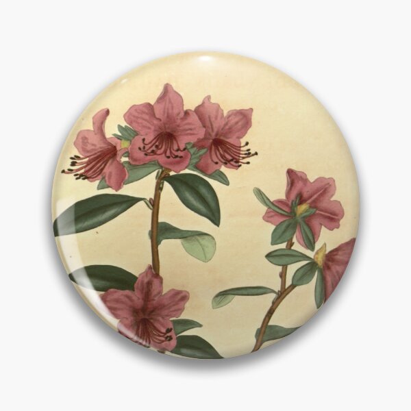 Item preview, Vintage Rhododendron dauricum Botanical Print designed and sold by Douglas E. Welch Design and Photography.