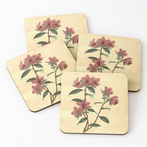 Item preview, Vintage Rhododendron dauricum Botanical Print designed and sold by Douglas E. Welch Design and Photography.
