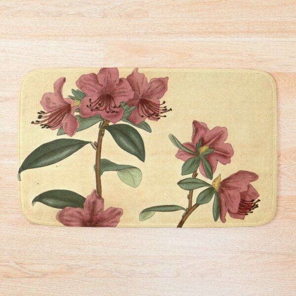 Item preview, Vintage Rhododendron dauricum Botanical Print designed and sold by Douglas E. Welch Design and Photography.