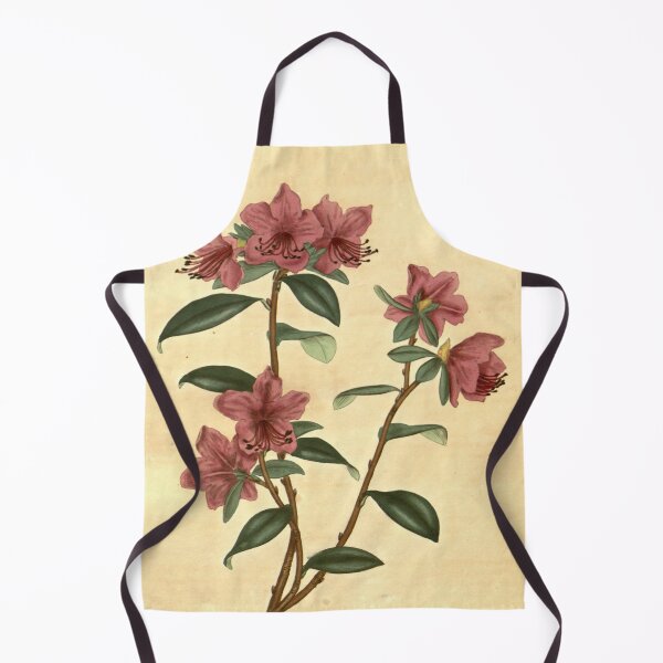 Item preview, Vintage Rhododendron dauricum Botanical Print designed and sold by Douglas E. Welch Design and Photography.