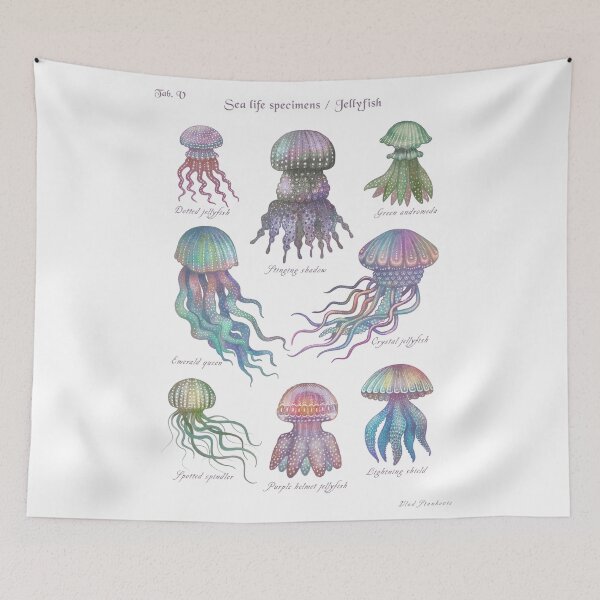 Item preview, Sea life specimens - Jellyfish designed and sold by Cabinet Of Curiosities by Vlad.