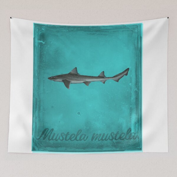 Item preview, Smoothhound shark T-shirt designed and sold by markflynnart.