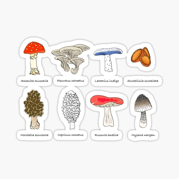 Mushroom Mania Sticker