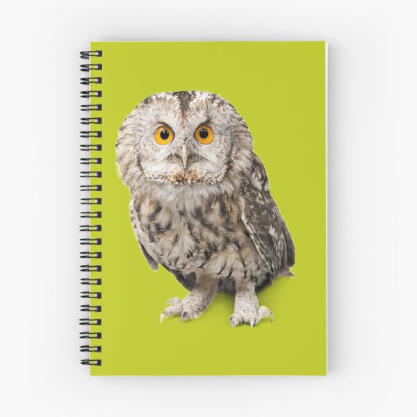 Item preview, OWL T SHIRTS designed and sold by PUTTUS.