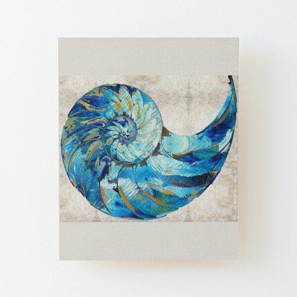 Nautilus Shell Wall Art Redbubble