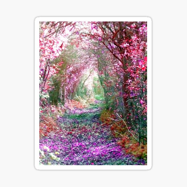 Aperçu de l'œuvre Jardin secret créée et vendue par Vicki Spindler (VHS Photography).