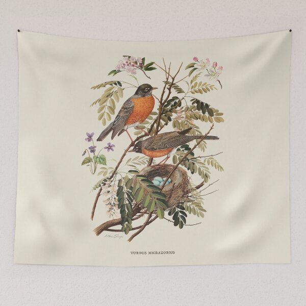 Item preview, American Robin Antique Naturalist Illustration designed and sold by Antiquated Art.