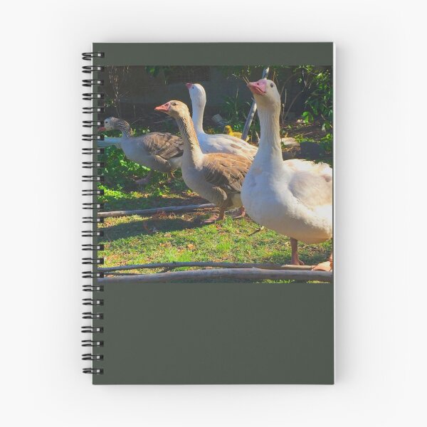 Item preview, Flock of Cotton Patch Geese designed and sold by LochNestFarm.