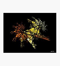 Scaffold 7 Photographic Print