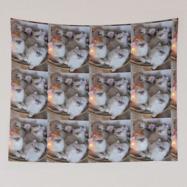Item preview, Ragdoll kittens designed and sold by Fluffycat2020.