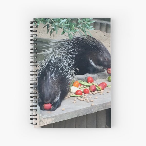 Prickly Porcupines Spiral Notebook