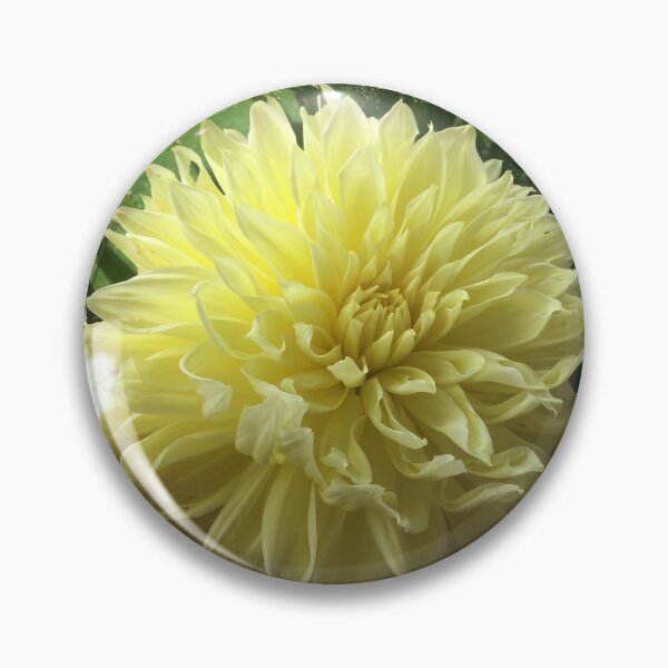 Item preview, Dahlia Flower Photography with digital mixed media designed and sold by OByD.
