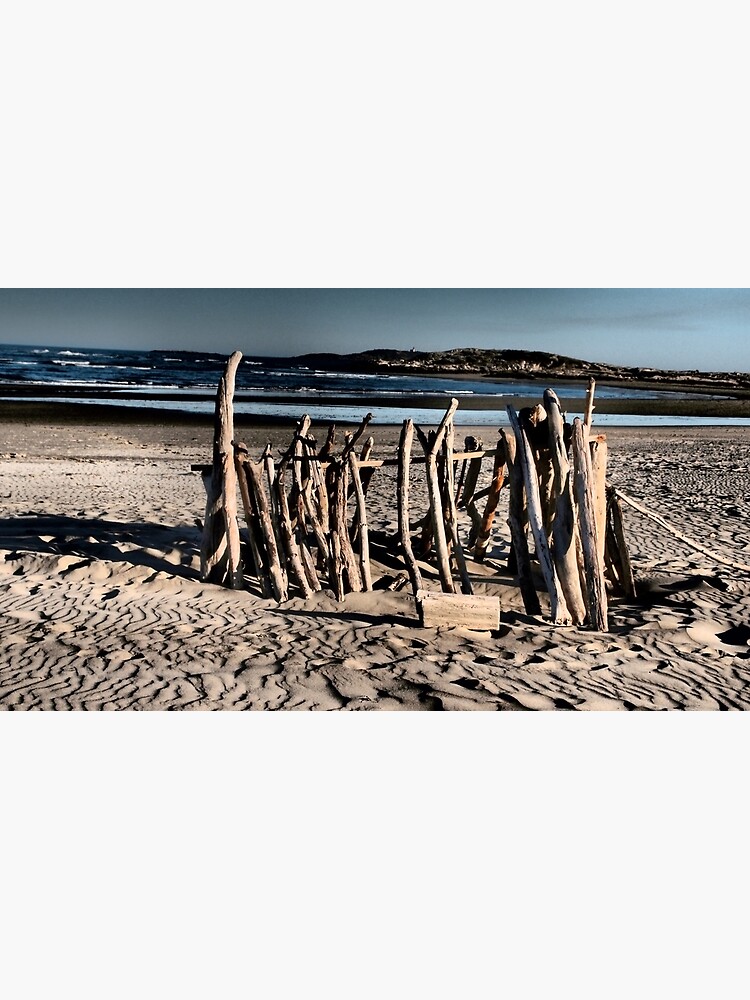 "Driftwood Art Popham Beach State Park Maine" Poster for Sale by