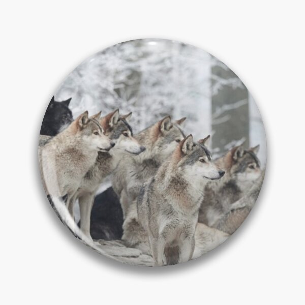 Item preview, wolf pack designed and sold by THE AMERICAN TEEVANGELIST.
