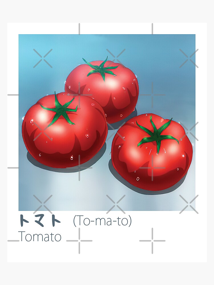 "Japanese English Flash Cards Tomato, トマト" Sticker for Sale by