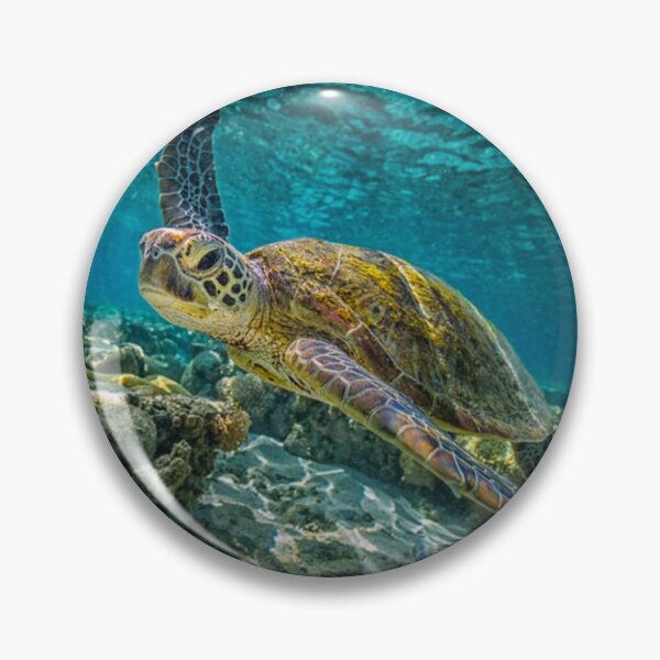 Item preview, sea turtle designed and sold by THE AMERICAN TEEVANGELIST.