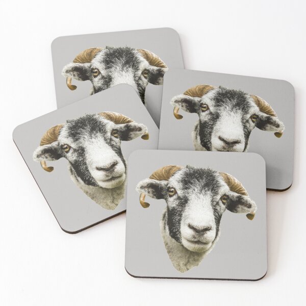 Item preview, Swaledale Sheep designed and sold by Jane Stanley Photography.