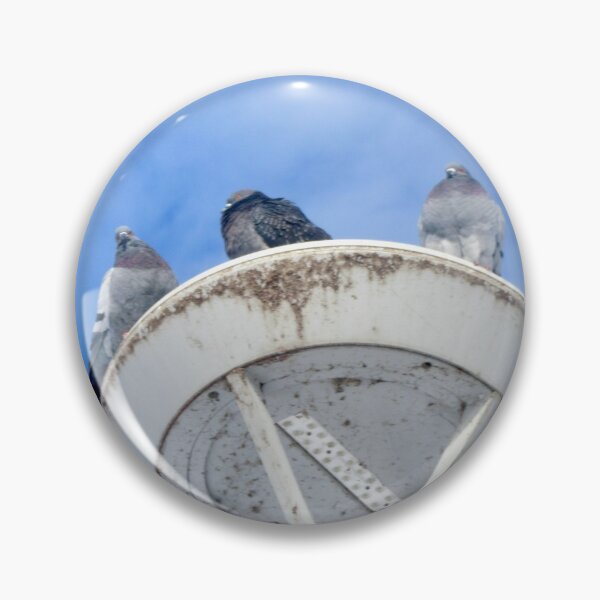 Item preview, Pigeons on a lamp post designed and sold by Shulie1.