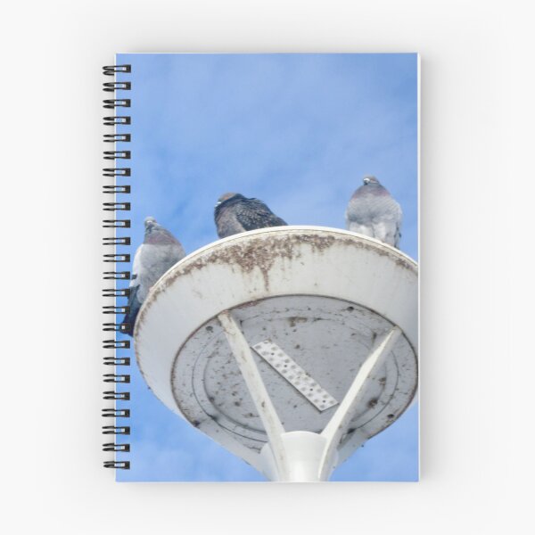 Item preview, Pigeons on a lamp post designed and sold by Shulie1.