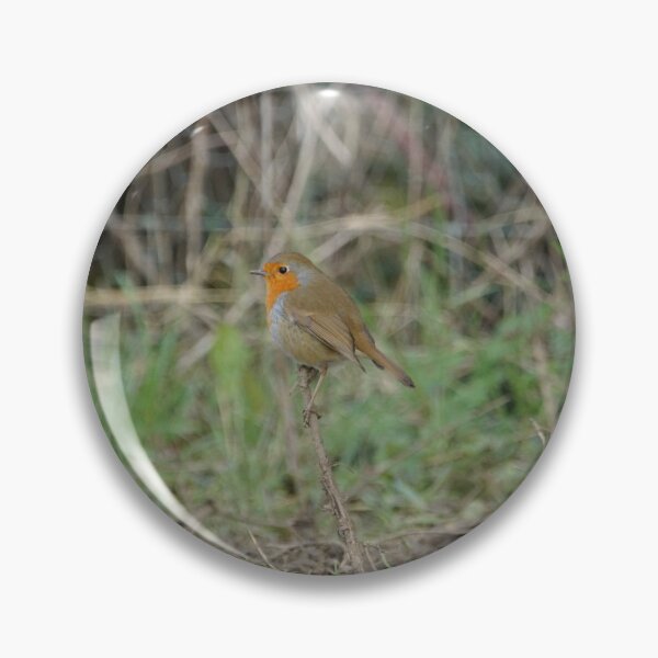 Item preview, Robin on a Stick designed and sold by Boucherro.
