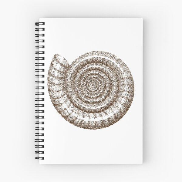 Item preview, Dotted Ammonite Shell designed and sold by Aenota.