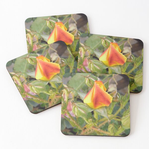 Item preview, Rosebuds designed and sold by Shulie1.