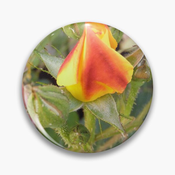 Item preview, Rosebuds designed and sold by Shulie1.