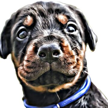 Artwork thumbnail, Doberman Puppy Black by HohenhallaDobes
