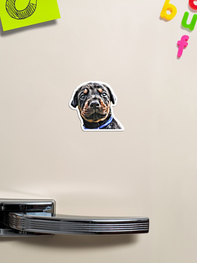 Thumbnail 1 of 3, Magnet, Doberman Puppy Black designed and sold by HohenhallaDobes.