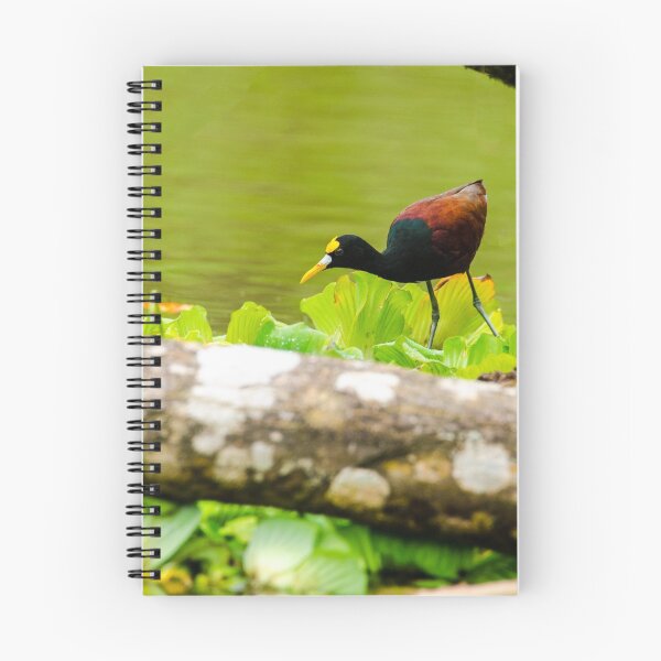Item preview, Northern Jacana designed and sold by mcstory.