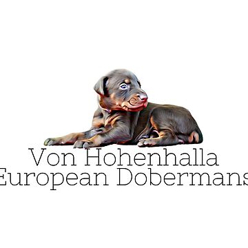 Artwork thumbnail, VHD Doberman Puppy by HohenhallaDobes