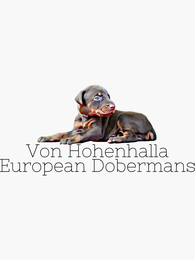 Thumbnail 3 of 3, Sticker, VHD Doberman Puppy designed and sold by HohenhallaDobes.