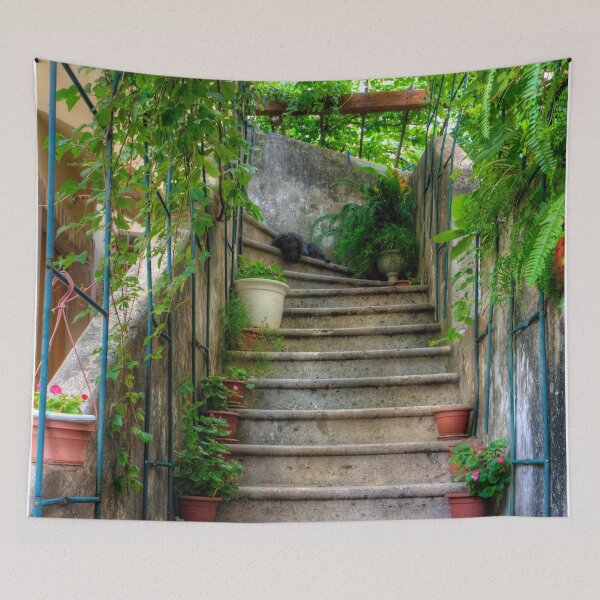 Item preview, Potted plants and a dog on the steps designed and sold by tomg.