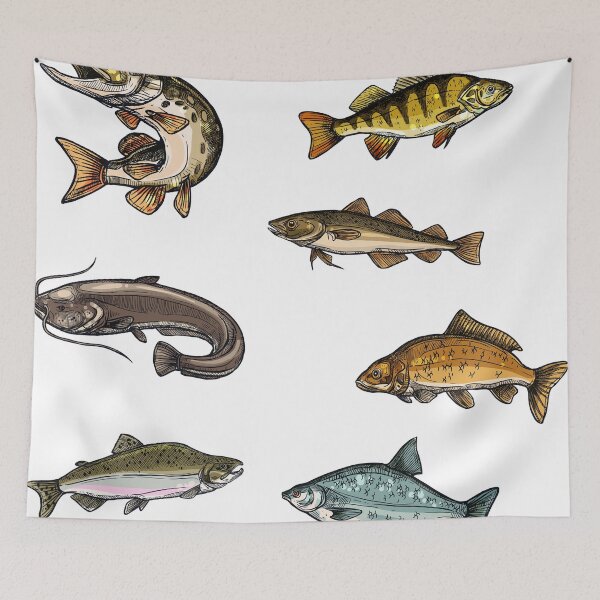 Item preview, Fish, bass, carp, catfish, perch, pattern graphic fly fishing lure artwork nature designed and sold by Skaimae.