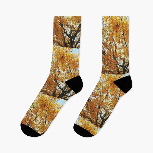Item preview, Beautiful fall day designed and sold by JupiterAvian.