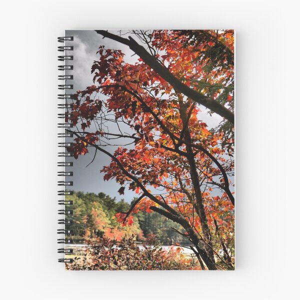 Item preview, Dramatic Autumn Trees designed and sold by Theophanes Avery.