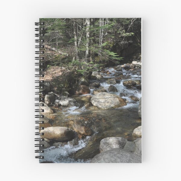 Item preview, A Rocky River Bed designed and sold by Theophanes Avery.