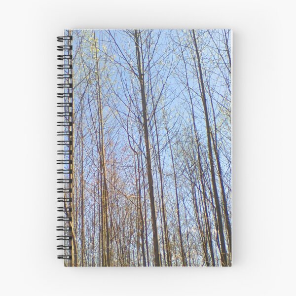 Item preview, Michaux State Forest  ~  designed and sold by Jeanine King.